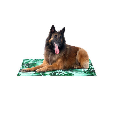 FREEDOG Eco Cool Bed (foam) 65x50cm Savannah