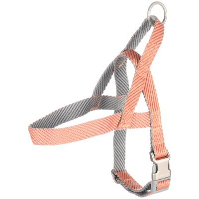 FLAMINGO Norwegian Harness Elly Salmon Pink S 43x55cm/20mm