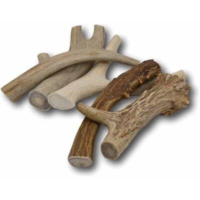 Κέρατο Ελαφιού Antler Dog Chew Petmascota XLarge 226-270gr