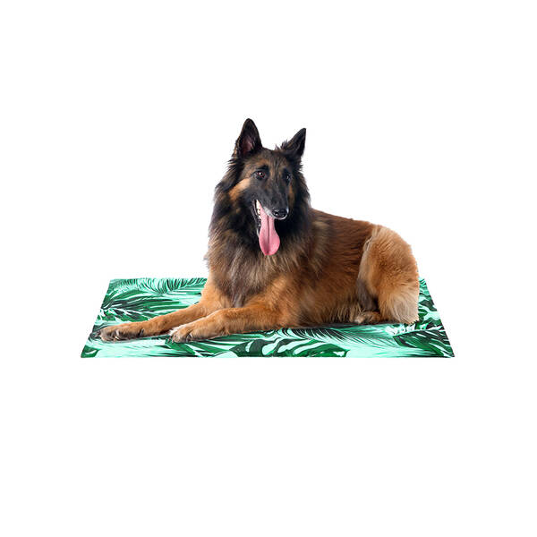 FREEDOG Eco Cool Bed (foam) 65x50cm Savannah