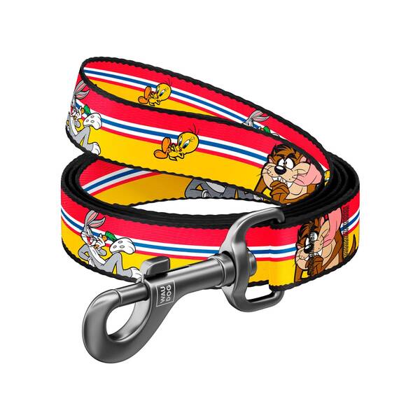 WAUDOG Naylon Leash Looney 25mm 122cm