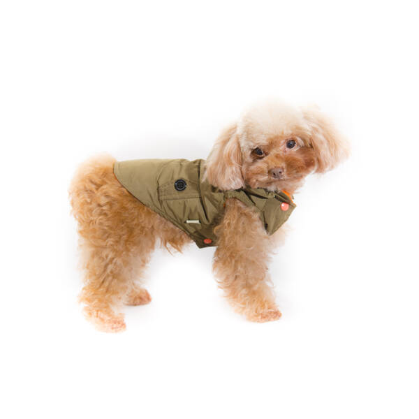 PET CAMELOT Dog's Coat Καφέ XL 45cm