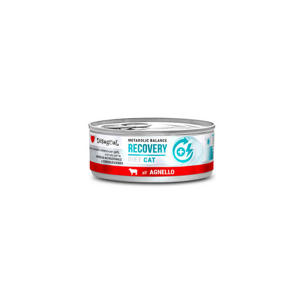 DISUGUAL Diet Cat-Recovery Lamb 85gr